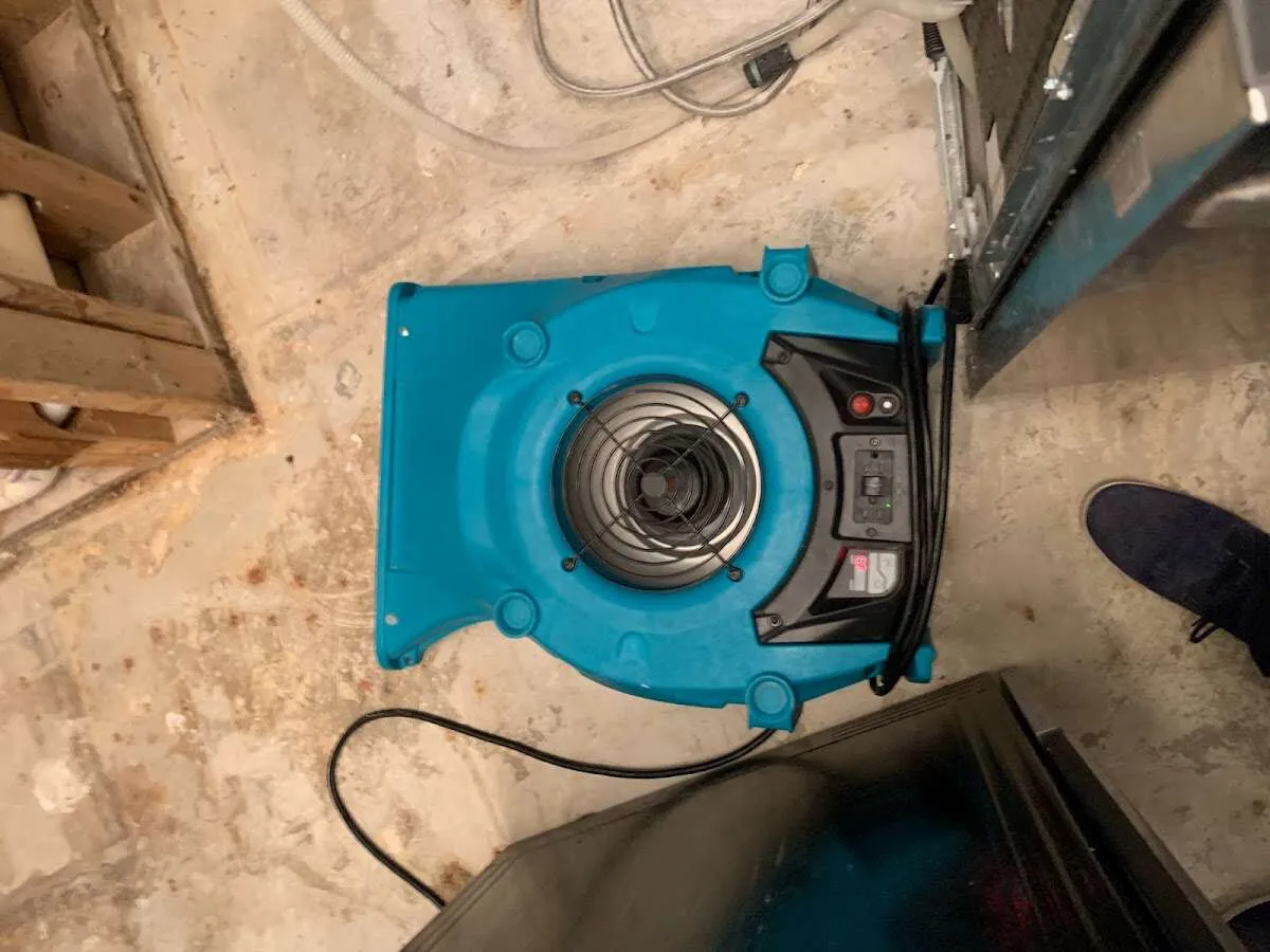 Air mover drying equipment for Mold Remediation & Removal in Burleson